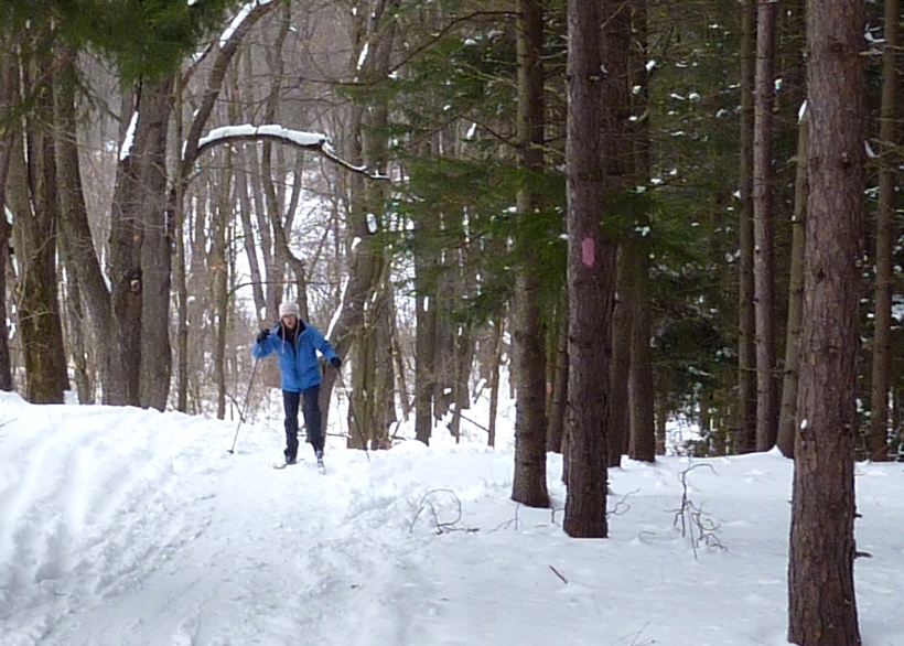 Carmen making her way uphill on skis