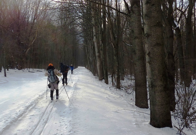 Rear view of us skiing