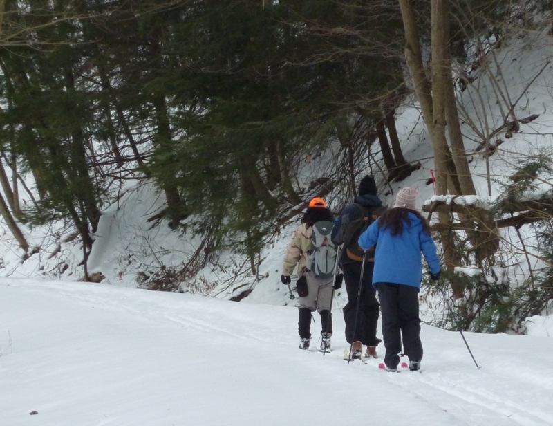 Rear view of Clark, Carmen, and I skiing