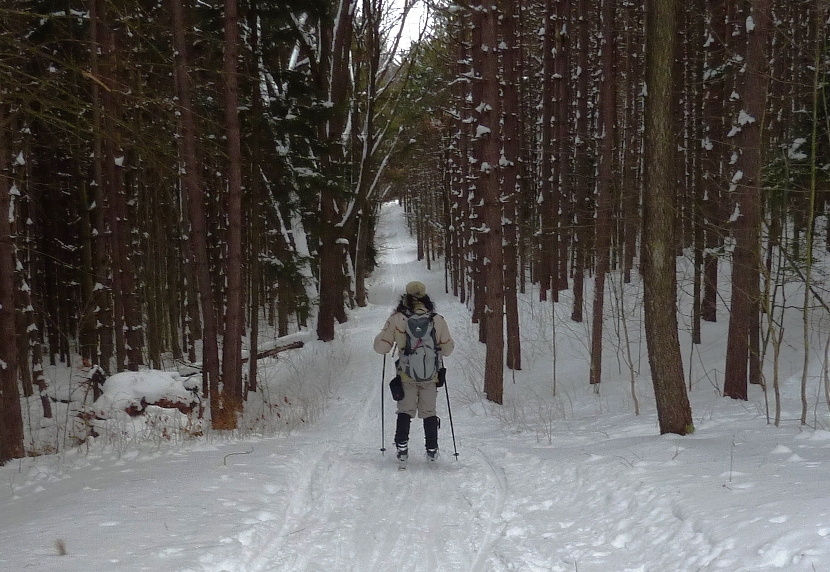 Me skiing on a gradual straight downhill