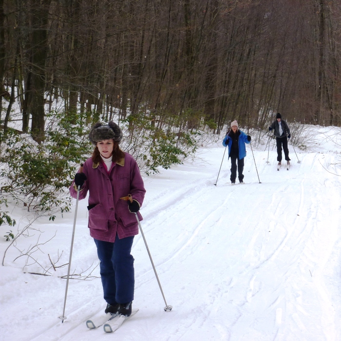 Norma, Carmen, and Clark skiing on a gradual incline