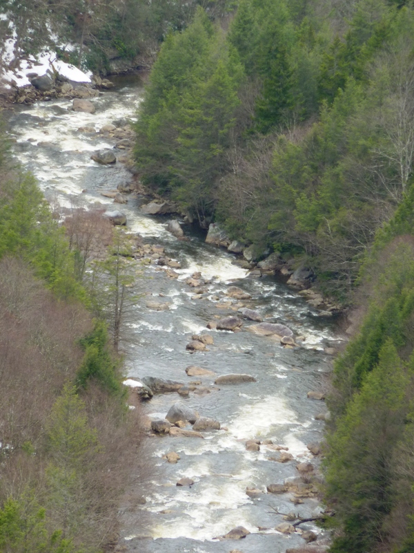 Looking down on the whitewater rapids of the Blackwater River