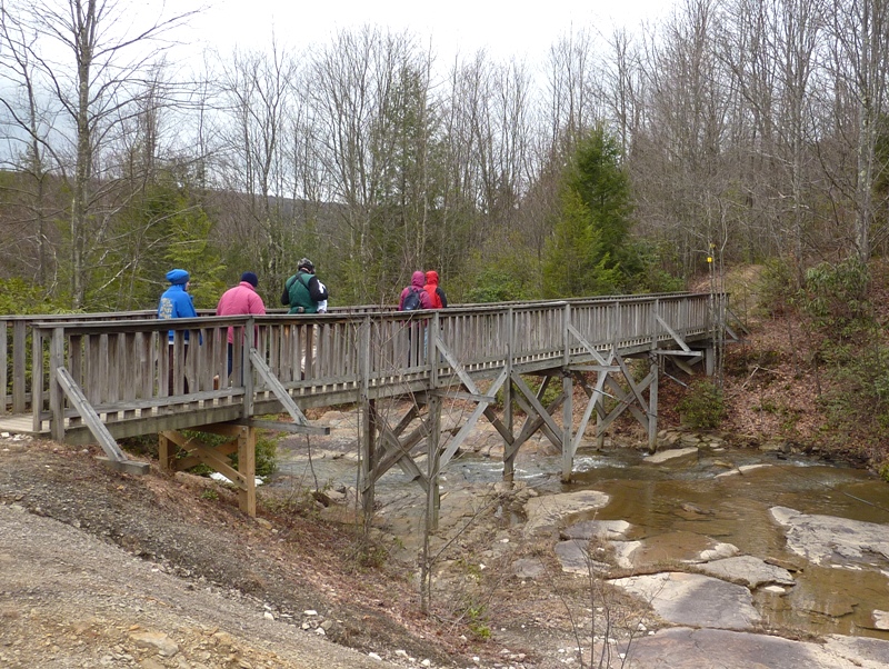 Our group walking across a wooden bridge over a stream