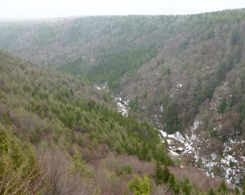 View into the valley from Pendleton Point Overlook