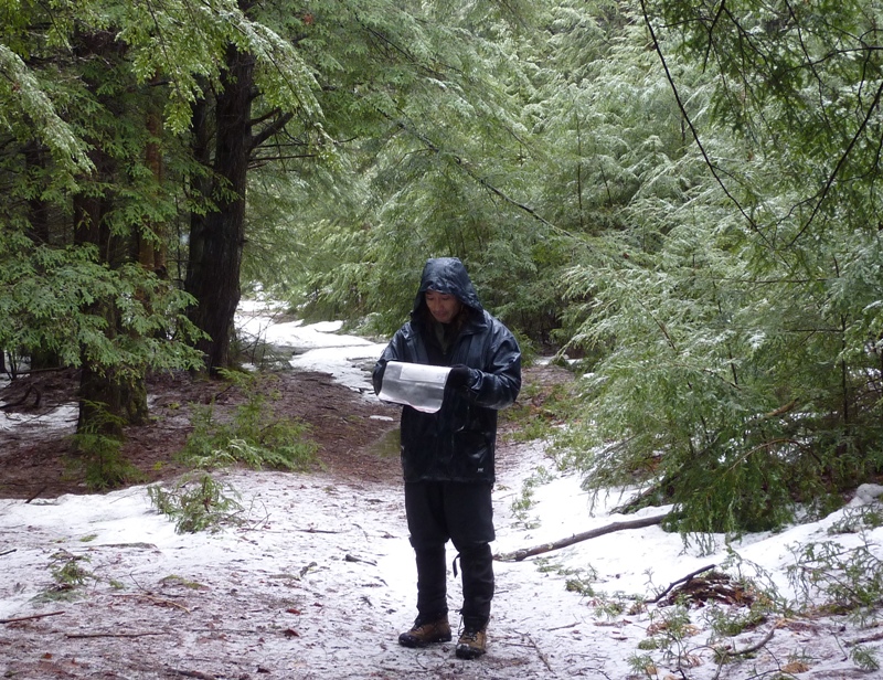 Me amongst the trees dressed for wet weather