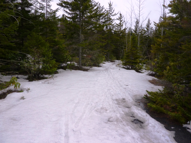 Open area of snow and ice