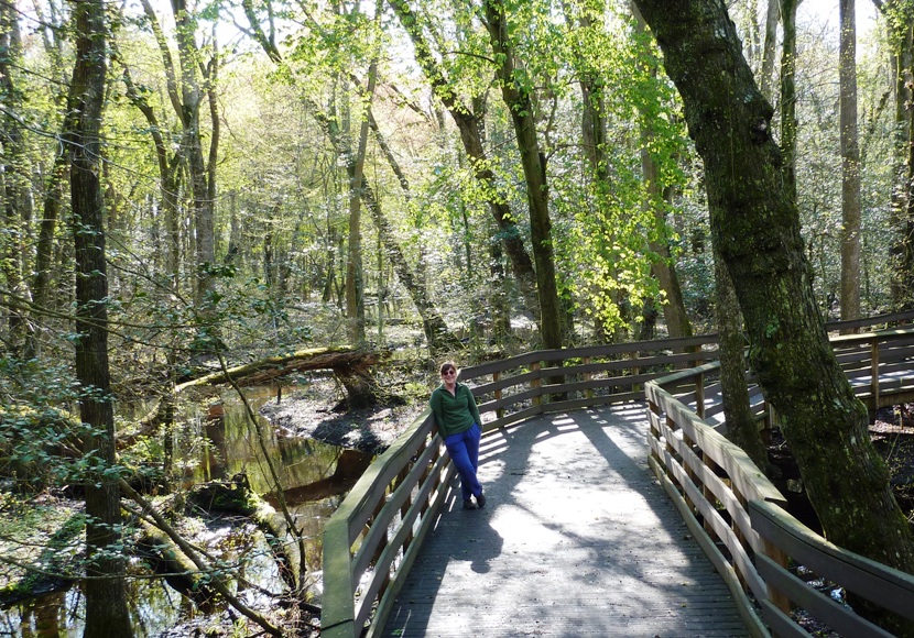 Suzanne on a bridge over Loblolly Trail