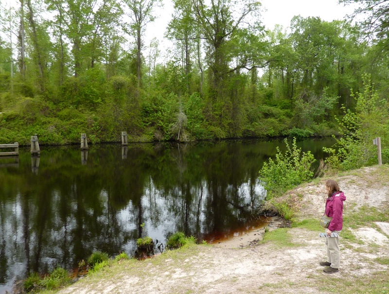 Norma standing by Dismal Swamp Canal on area that looks suitable for kayak launching