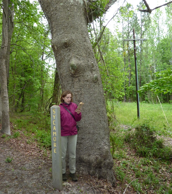 Norma reading a pamphlet on the Dismal Swamp Nature Trail