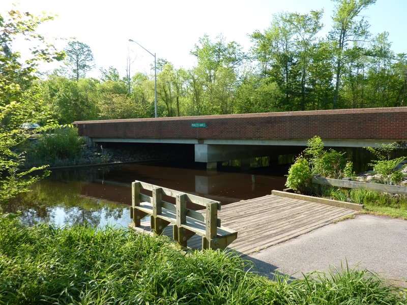 Dozier Bridge and wooden platform