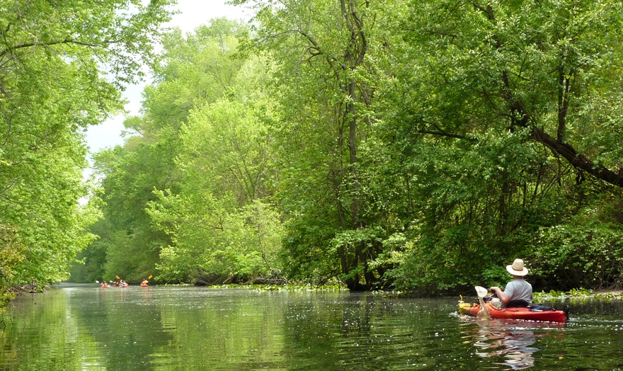 One kayaker behind the group