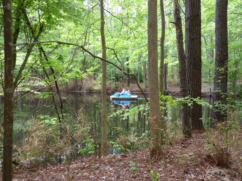 Blue pedal boat on creek