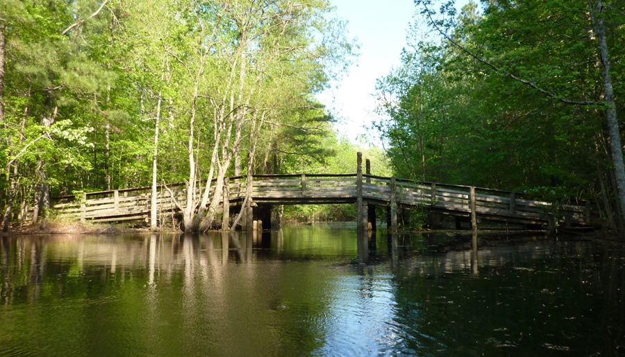 Wooden bridge over creek