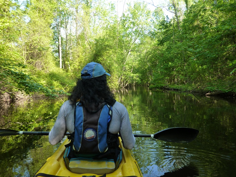 Kayaking on West Neck Creek with view of my back