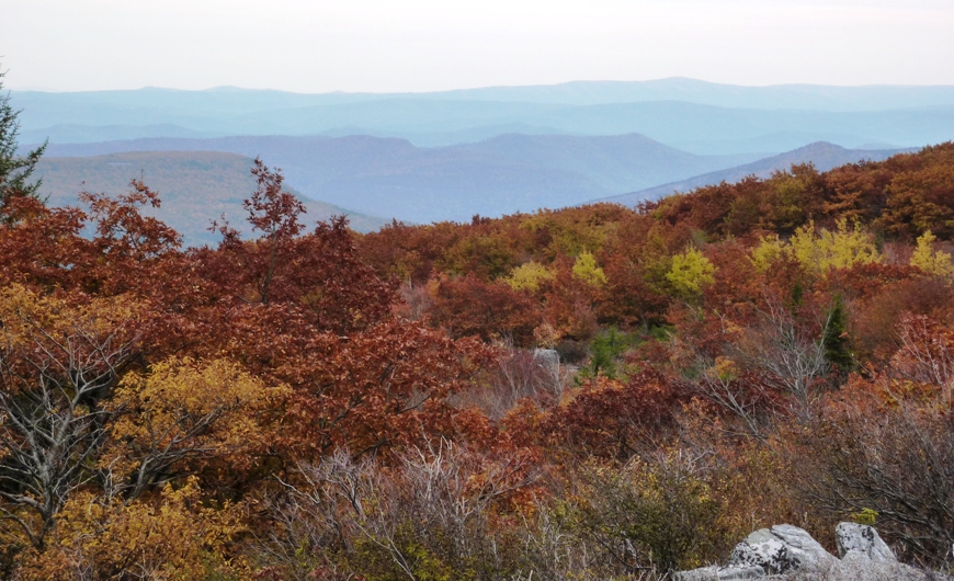 Scenic view near Bear Rocks