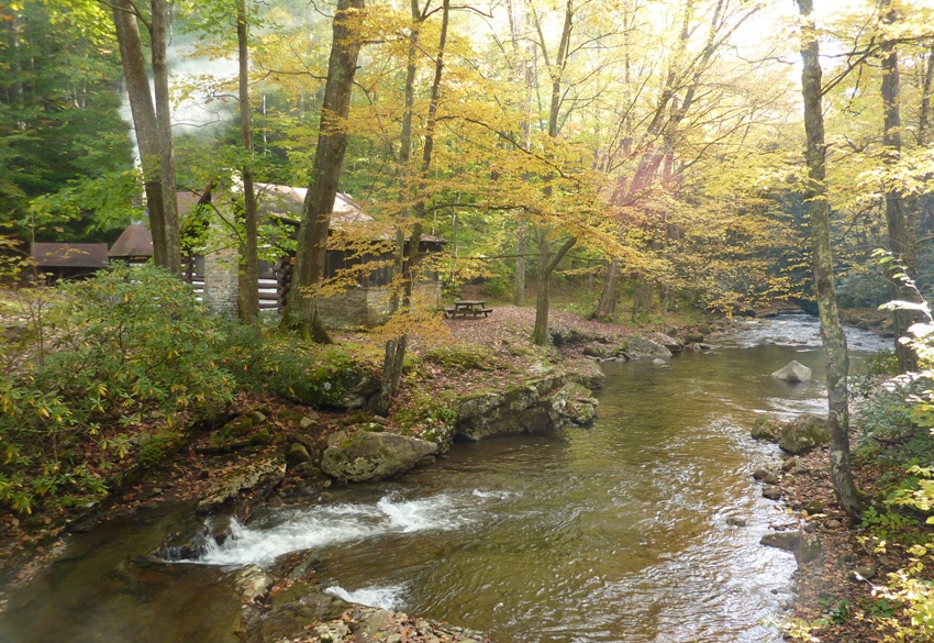 A stream running by the cabin