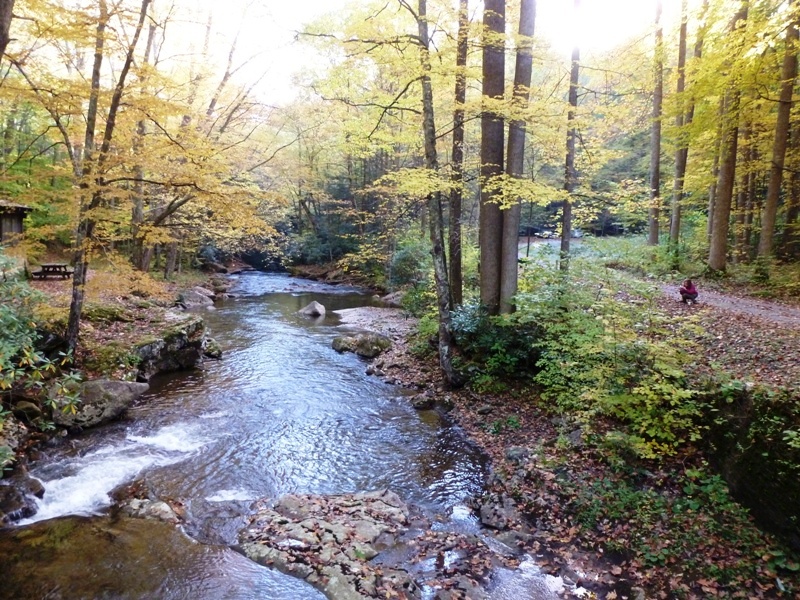 The creek that feeds the falls