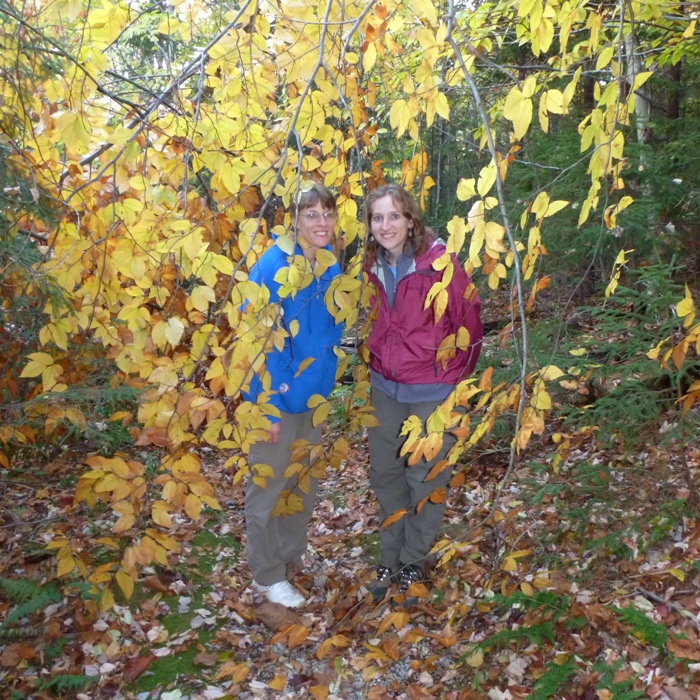 Joyce and Norma with yellow leaves on tree