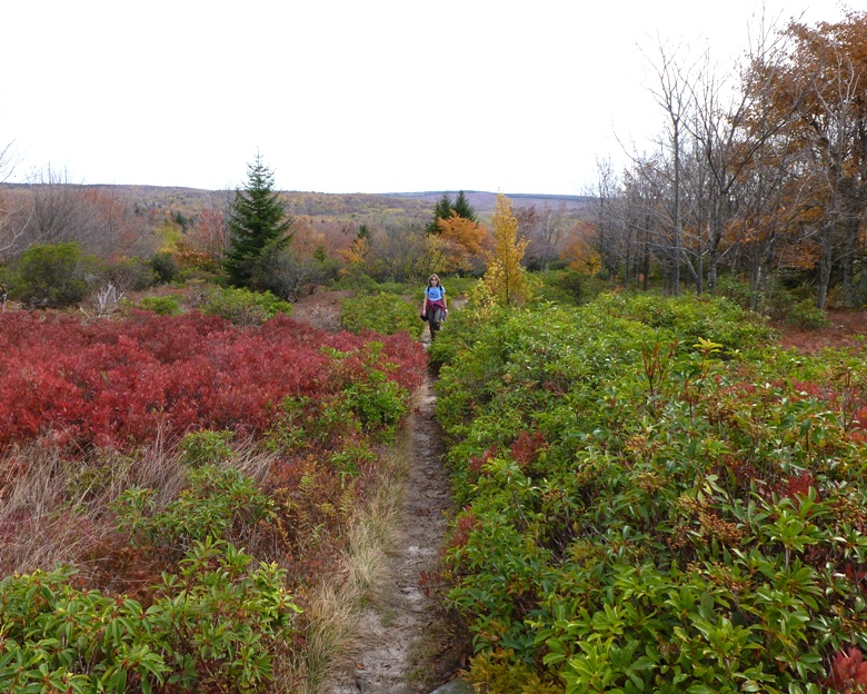 Norma walking on trail lined by red plants