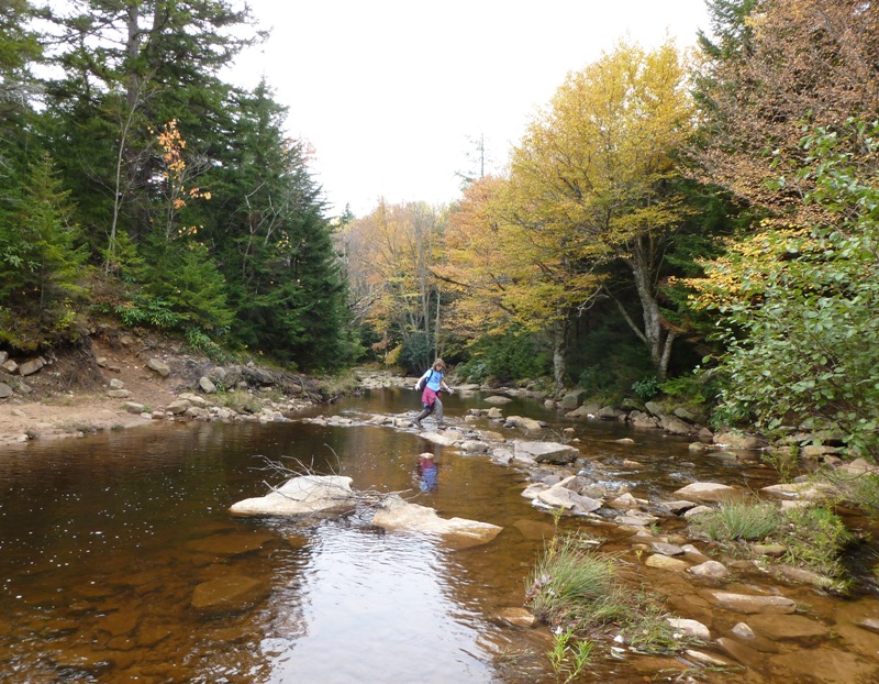 Norma crossing a stream