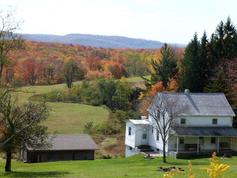 House with falls colors in the background on a hill