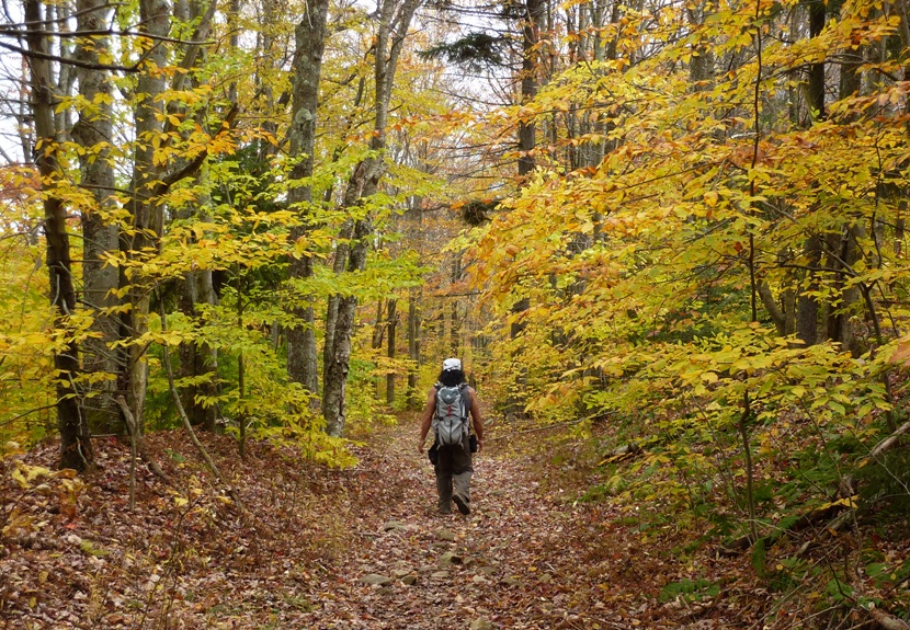 Me walking on trail lined by trees with yellow leaves