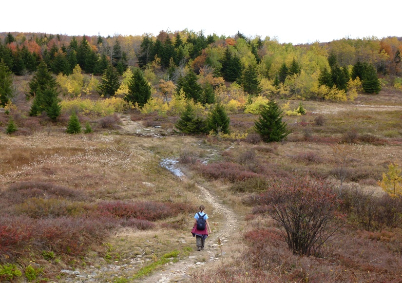 Norma walking on trail with yellow and green trees in the background