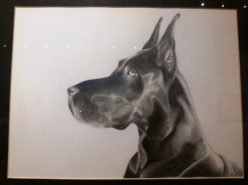 Drawing of a great dane