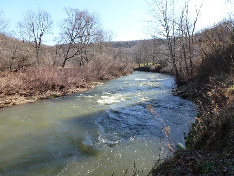 Class I rapids near Gormania