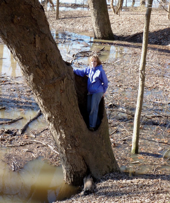 Norma standing in hollow part of tree