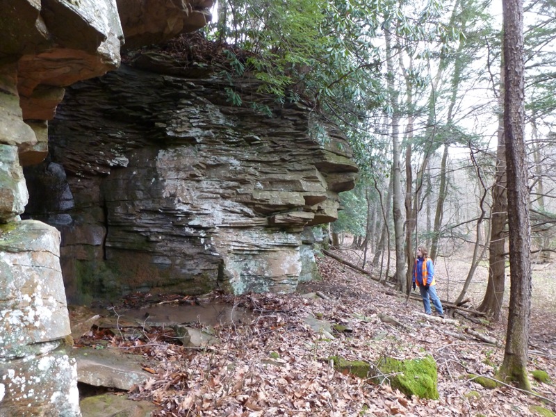 Norma looking at layered rocks