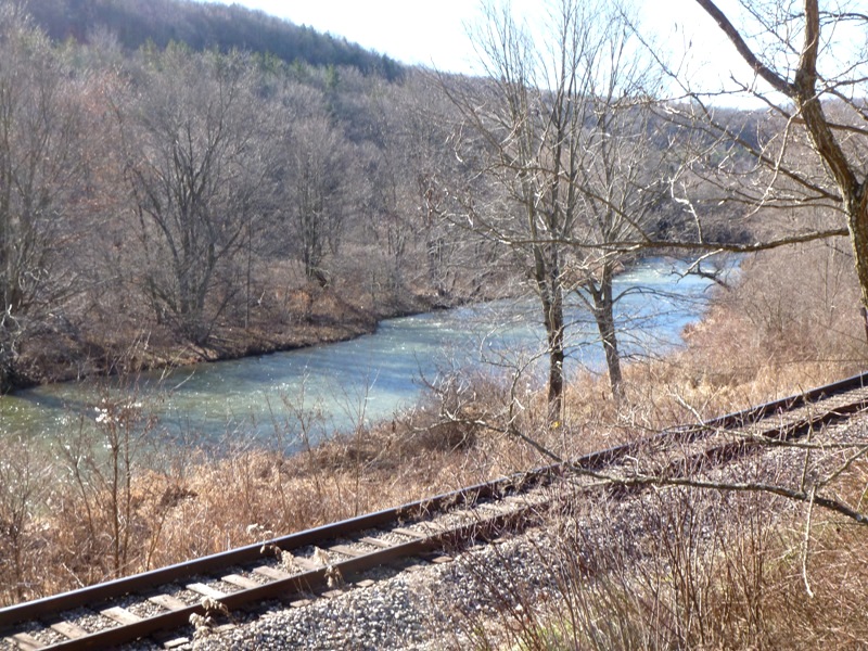 View from Steyr Gorman Road of the North Branch and train tracks