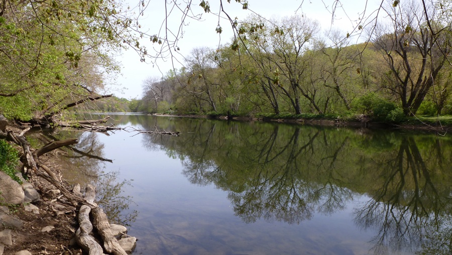 Calm water looking upstream