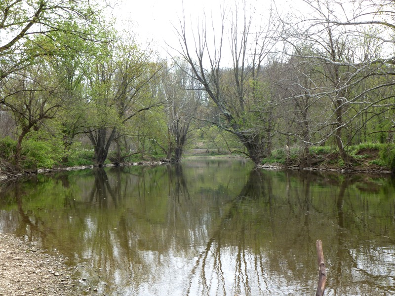 Flat, tree-lined water