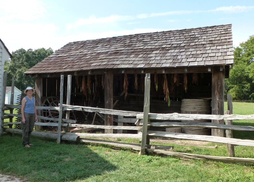 Norma standing by shed with hanging tobacco