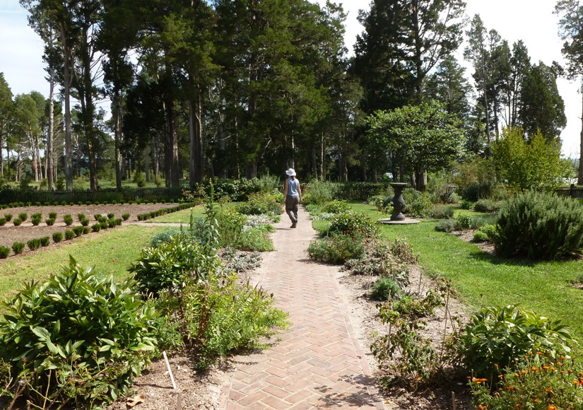 Norma in Washington's garden