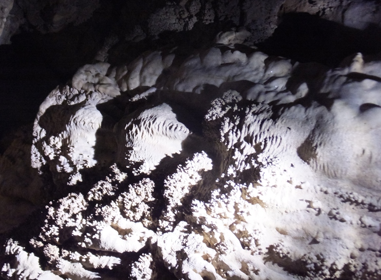 Limestone structures resembling coral