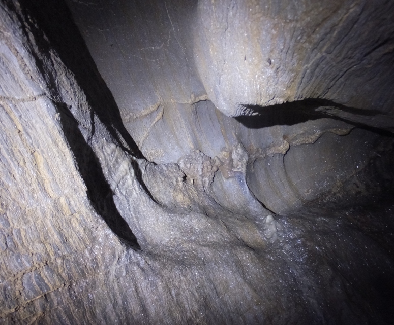 Wet cave wall in section Carmen could get to but I could not