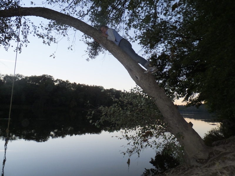 Carmen on tree with rope swing above water