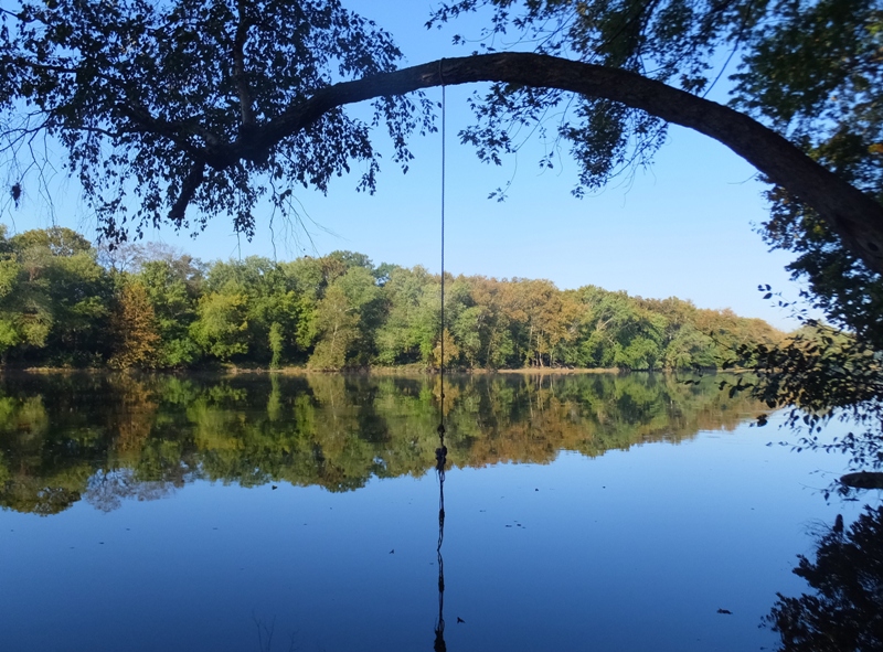 Rope swing in clear, sunny skies at 0855