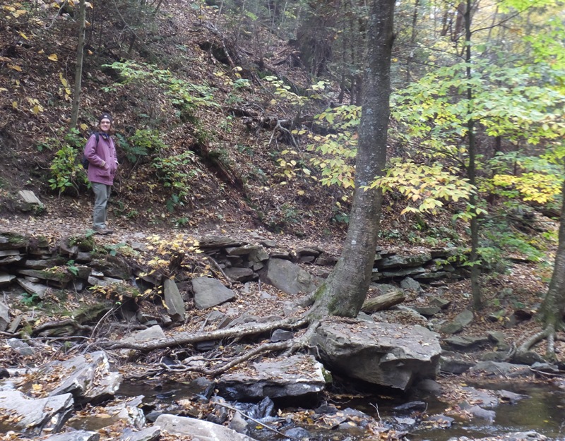 Norma on well-maintained trail