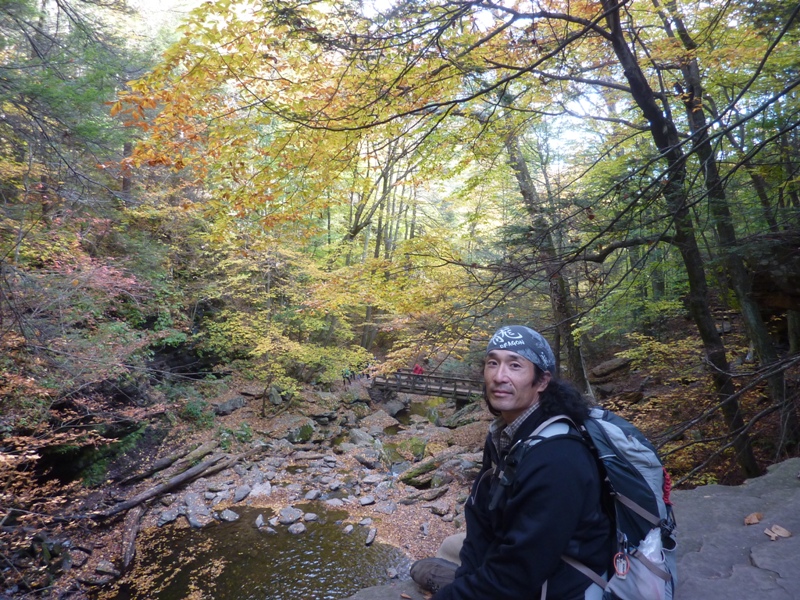 Me up high with yellow leaves behind