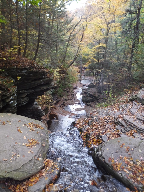 Looking down the falls from high up