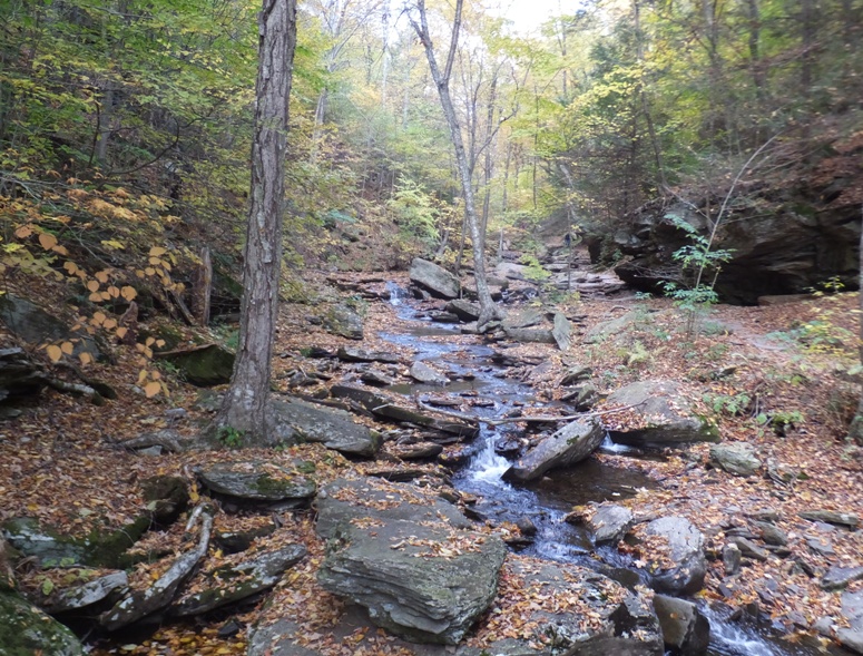 Creek flowing over rocks in relatively calm section