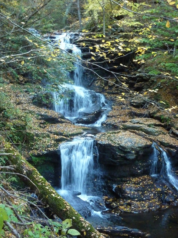 Fall colors on and around the waterfall