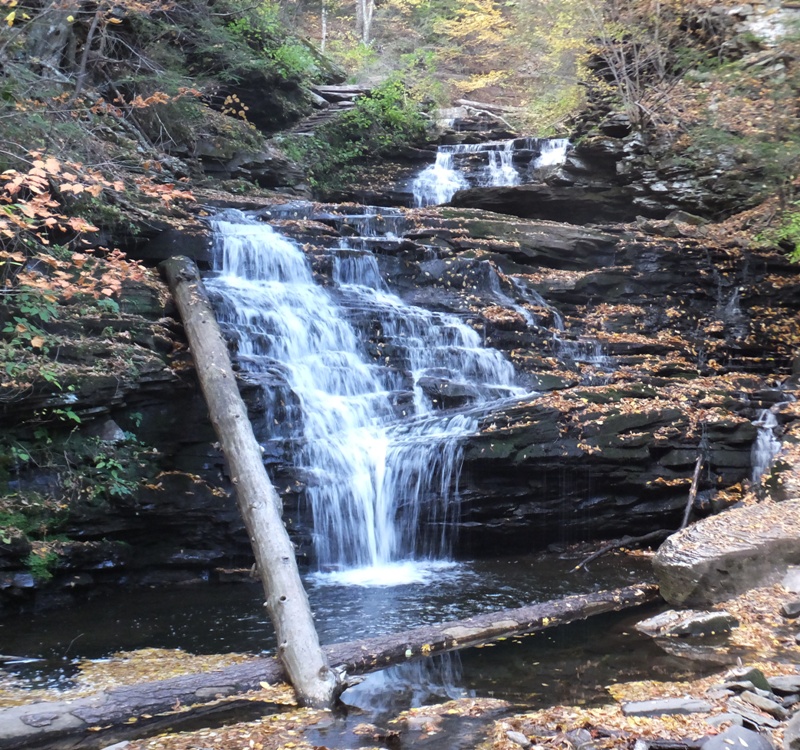 Waterfall with big log on the left