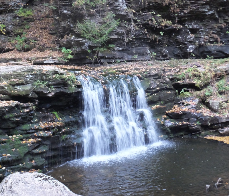 Cayuga Falls