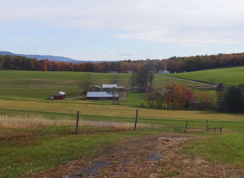 View of Ron and Alice's farm from the trailhead into the woods