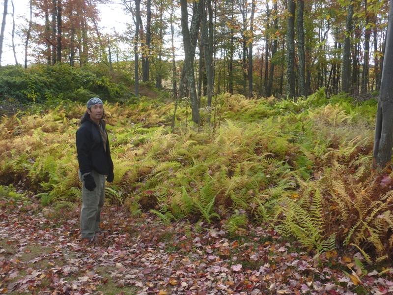 Me with lots of ferns