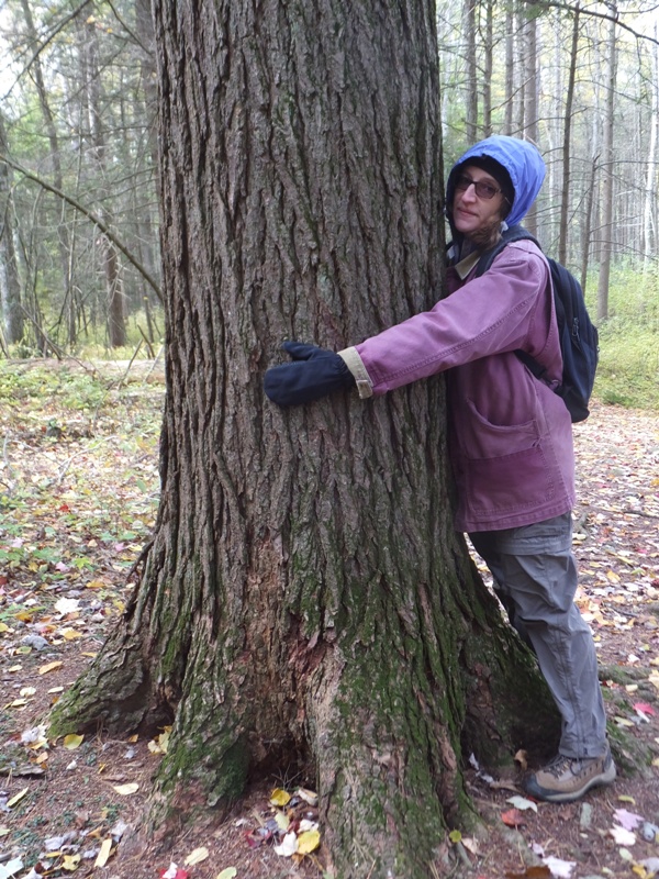 Norma with arms around a big tree